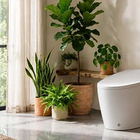 Self-Cleaning Toilets: How They Work and Key Benefits