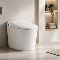 What Is a Japanese Toilet? Why So Many People Refuse to Go Back After Using One