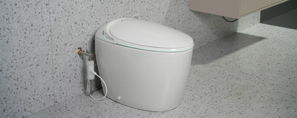 Smart Toilet Installation Guide