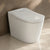 Sanyipace Aira Cearo Smart Toilet | SD03Pro