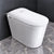 Sanyipace Cove Shilda Smart Toilet | SD06Pro