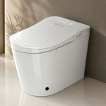 smart toilet with built-in bidet​