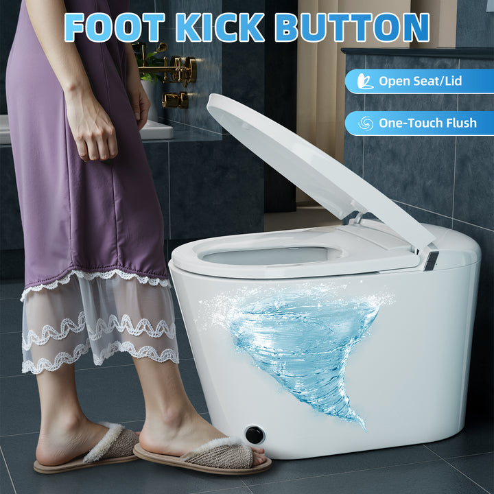 Bidet Toilet with Tank, Auto Lid, Rear & Feminine Wash | S003W