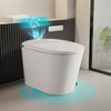 Bidet Toilet with Tank, Auto Lid, Rear & Feminine Wash | S003W